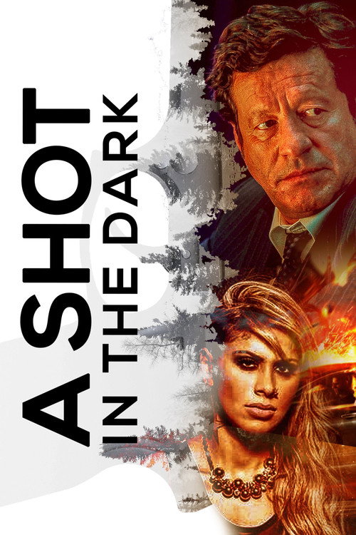 Póster de A Shot in the Dark