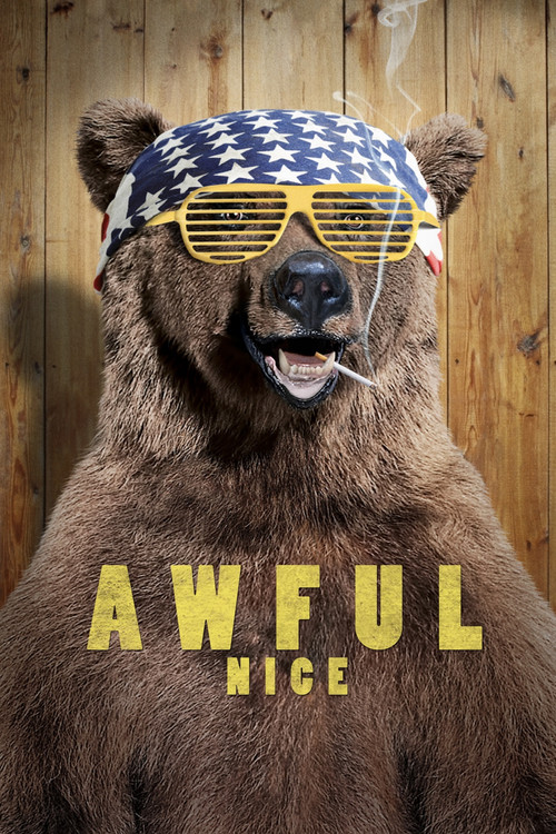 Póster de Awful Nice
