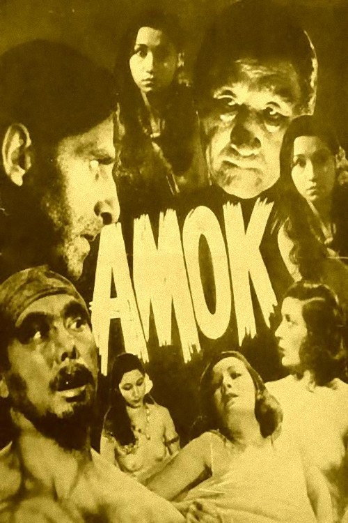 Póster de Amok