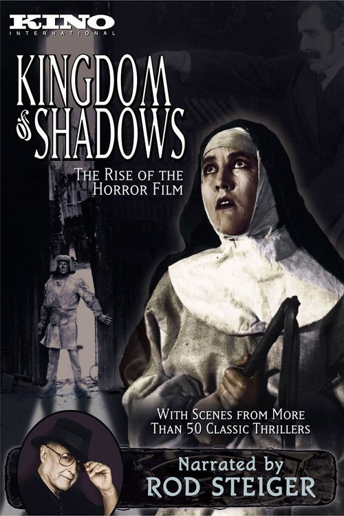 Póster de Kingdom of Shadows