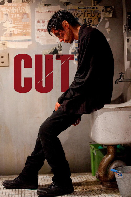 Póster de Cut