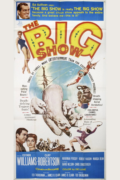 Póster de The Big Show