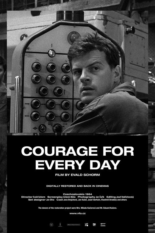 Póster de Courage for Every Day