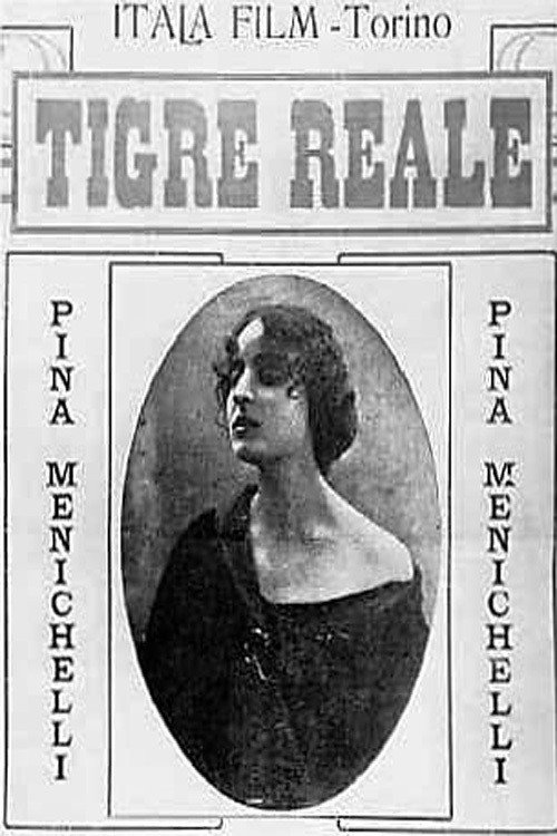 Locandina di Tigre reale