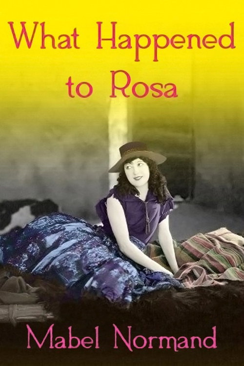 Póster de What Happened To Rosa