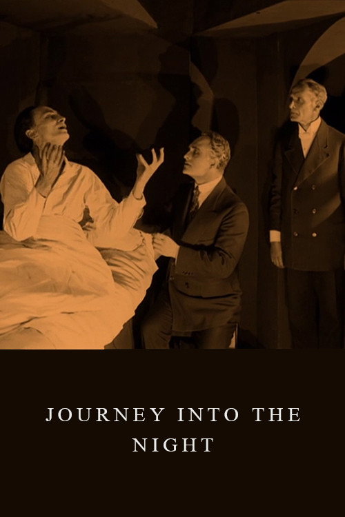 Póster de Journey into the Night