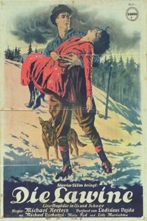 Póster de Avalanche