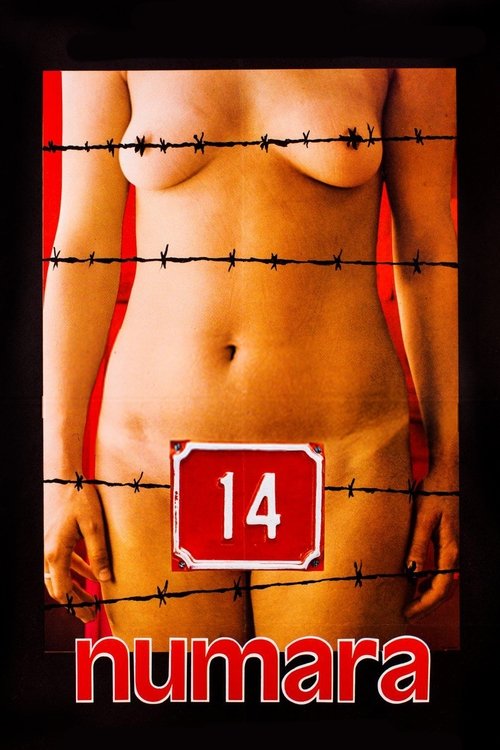 Pôster de Number 14