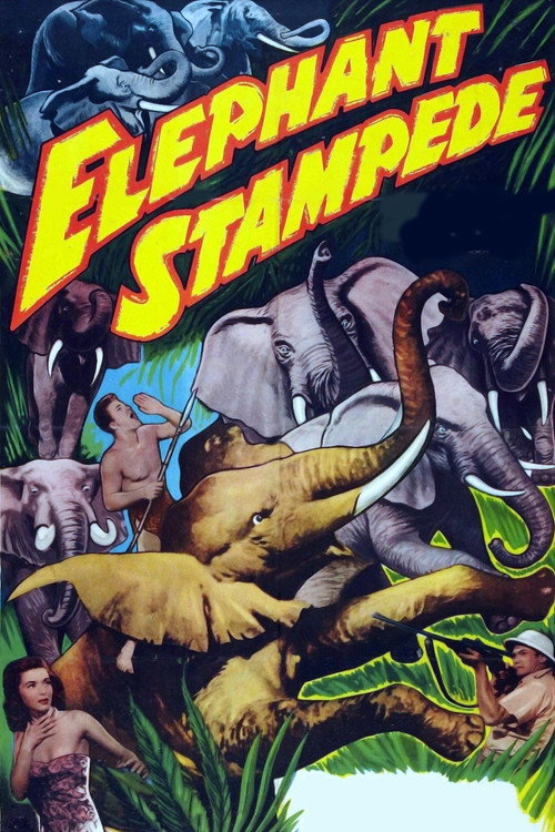 Póster de Elephant Stampede