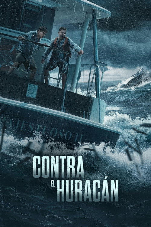 Póster de Contra el huracán