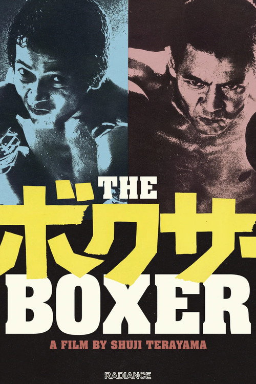 Pôster de The Boxer