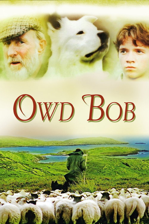 Póster de Owd Bob