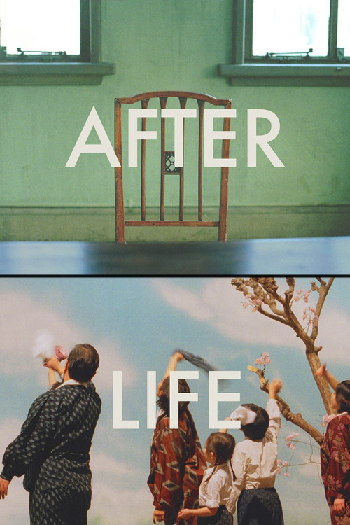 Póster de After Life