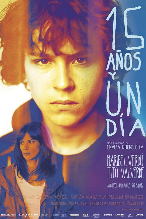 Póster de 15 años y un día