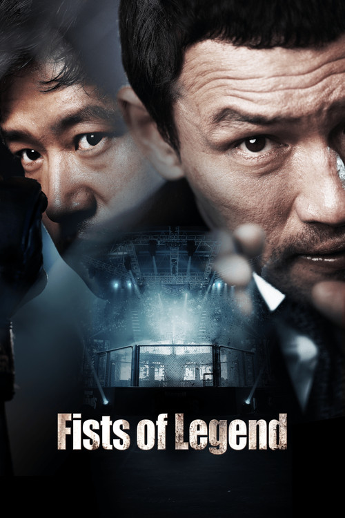 Póster de Fists of Legend