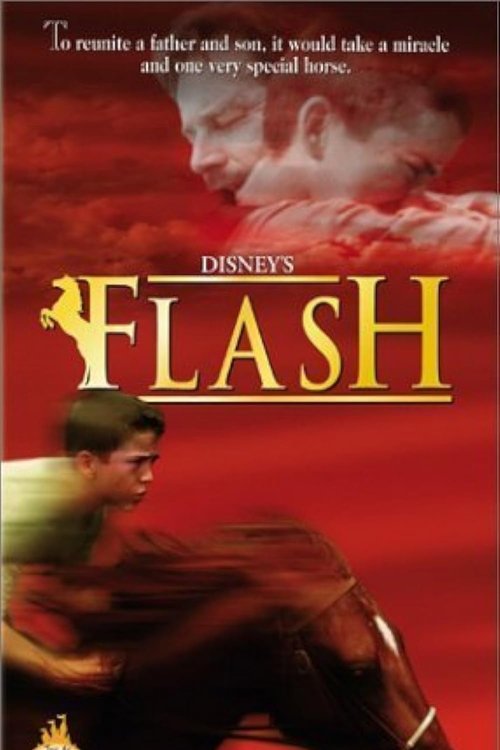 Póster de Flash