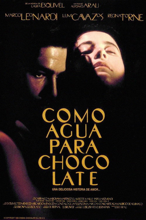 Póster de Como agua para chocolate