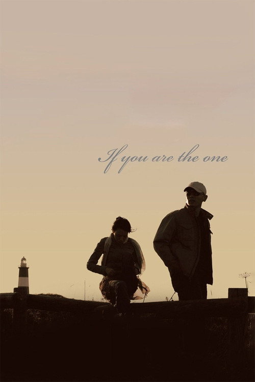 Póster de If You Are the One