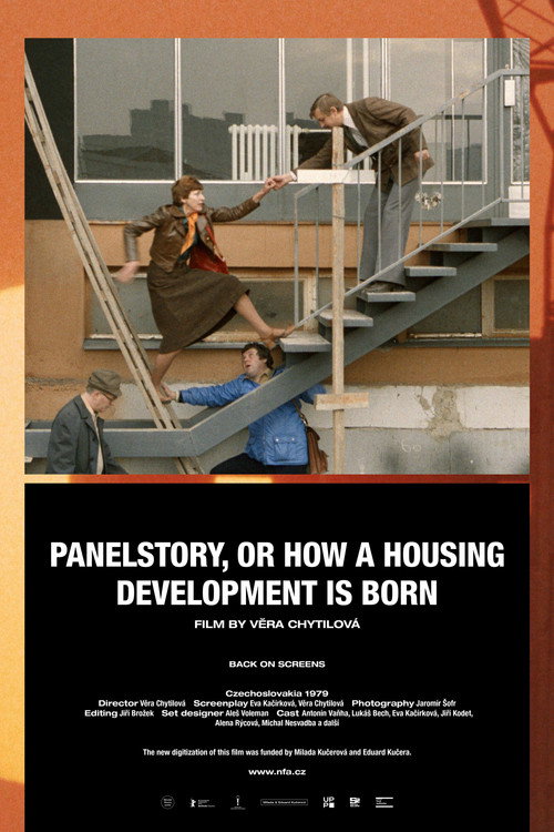 Póster de Panelstory or Birth of a Community