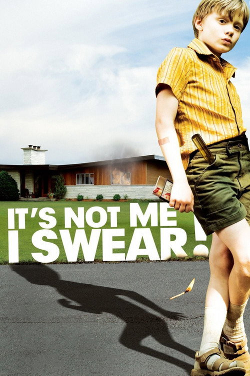 Póster de It's Not Me, I Swear!