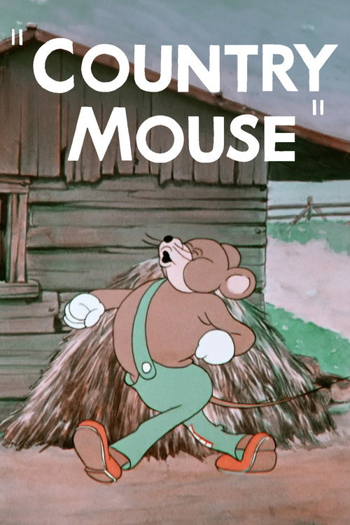 Póster de Country Mouse
