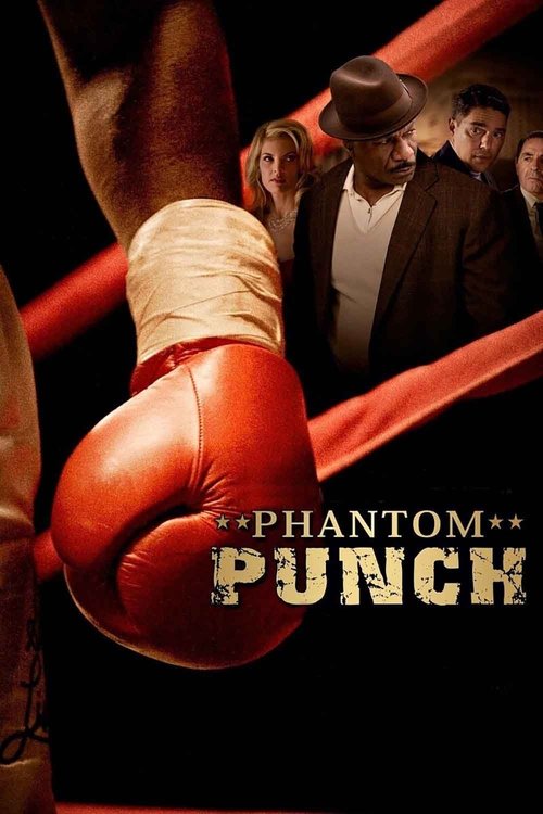 Póster de Phantom Punch