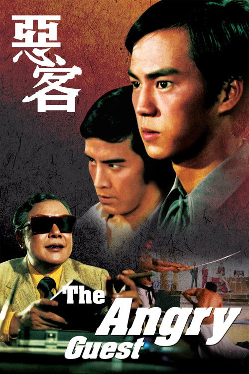 Póster de The Angry Guest