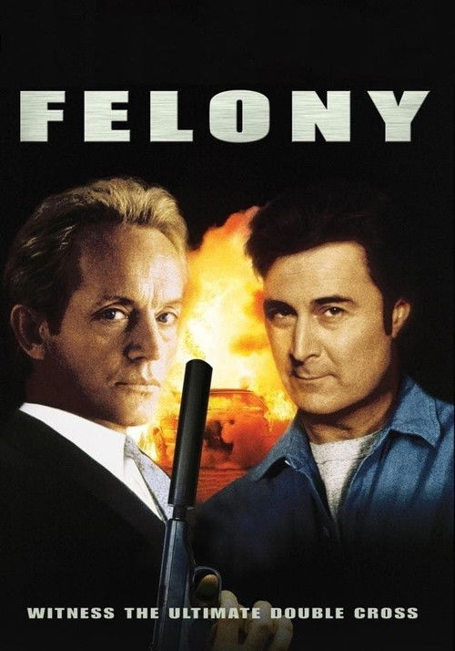 Póster de Felony