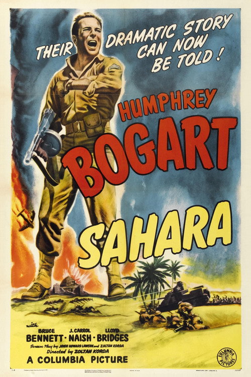 Póster de Sahara