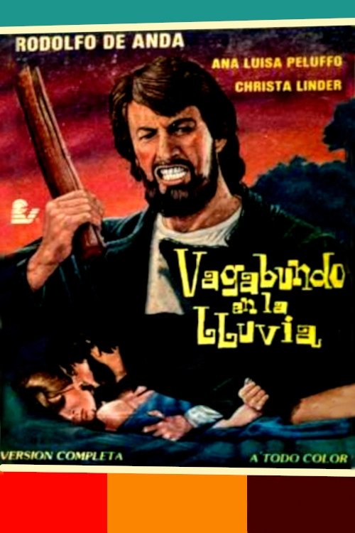 Póster de Vagabundo en la lluvia