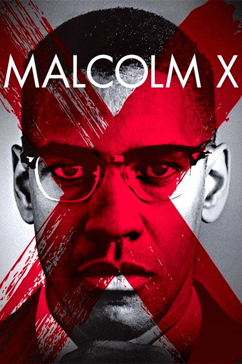 Locandina di Malcolm X