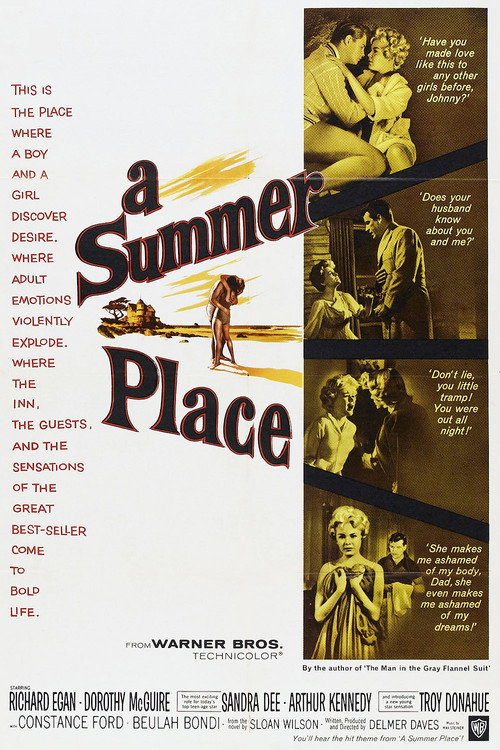Póster de A Summer Place