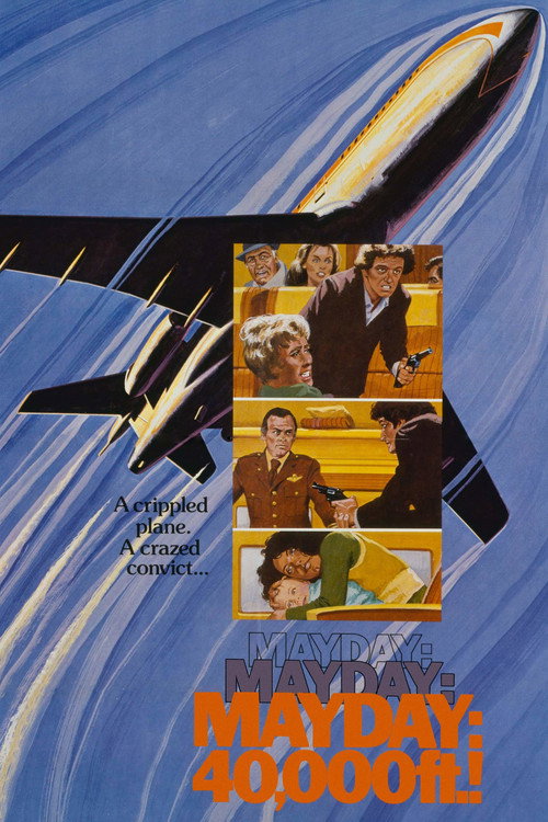 Póster de Mayday at 40,000 Feet!