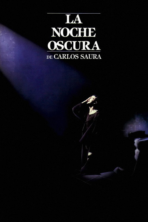 Póster de La noche oscura