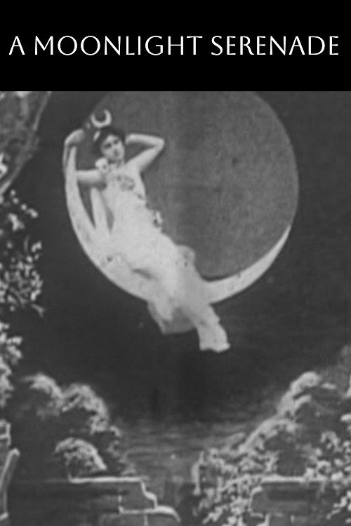 Póster de A Moonlight Serenade