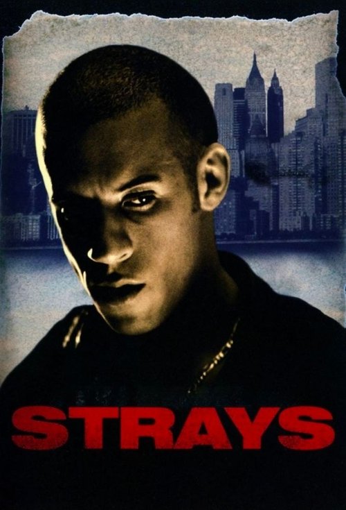 Póster de Strays