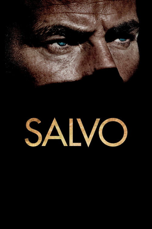 Póster de Salvo