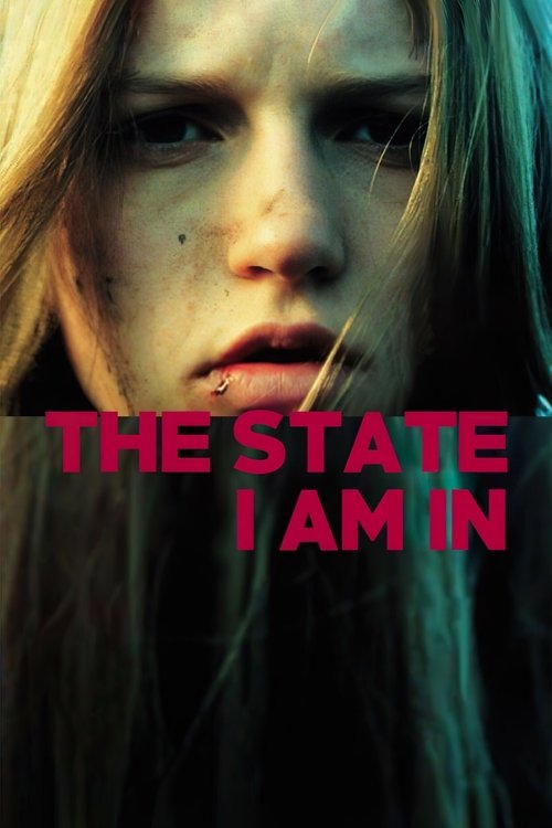 Póster de The State I Am In