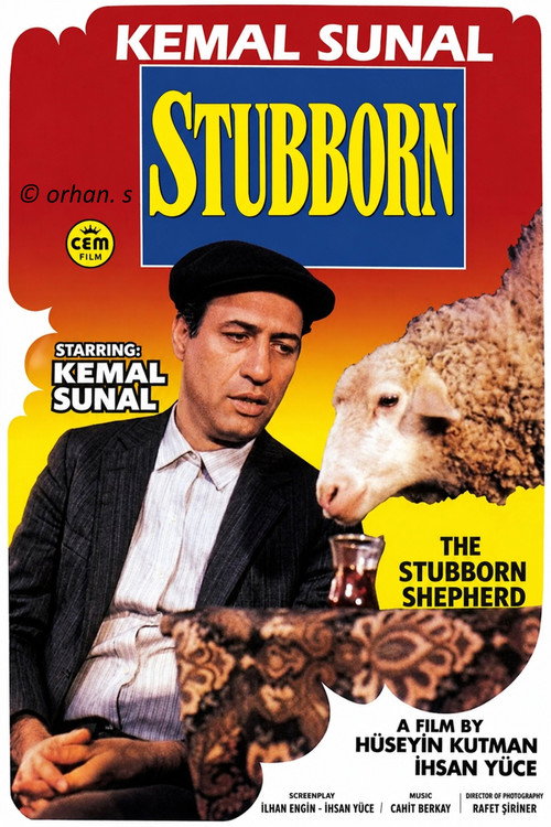 Póster de Stubborn