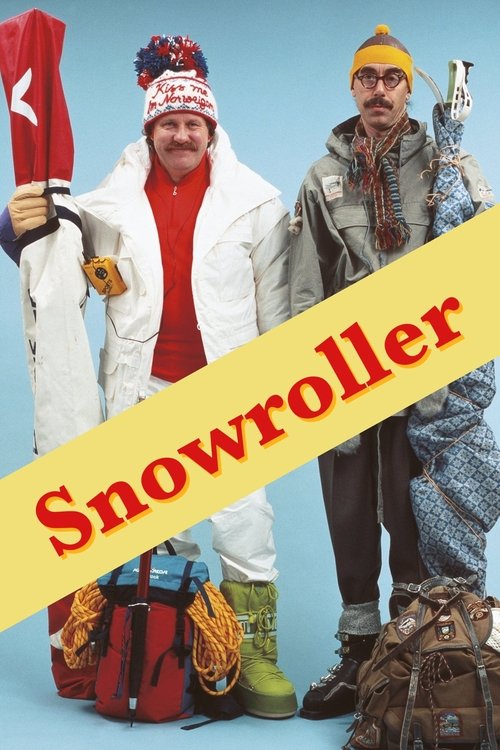 Póster de Snowroller