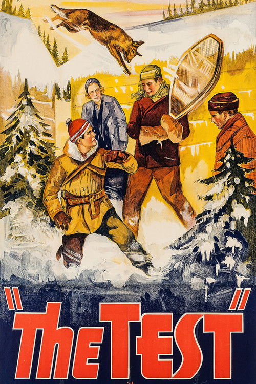 Poster von The Test