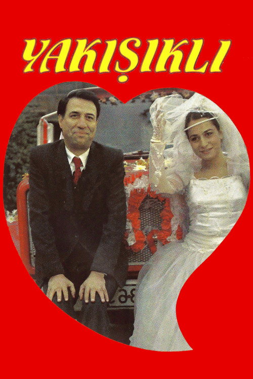 Póster de The Handsome