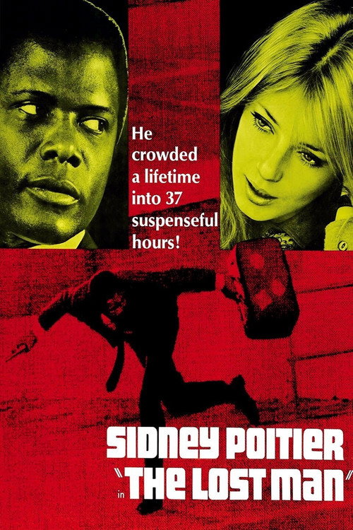 Póster de The Lost Man