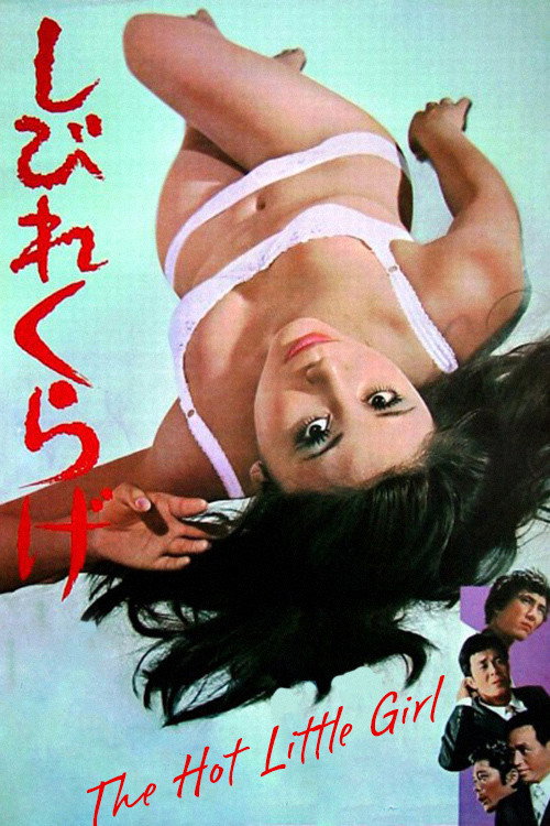 Póster de The Hot Little Girl