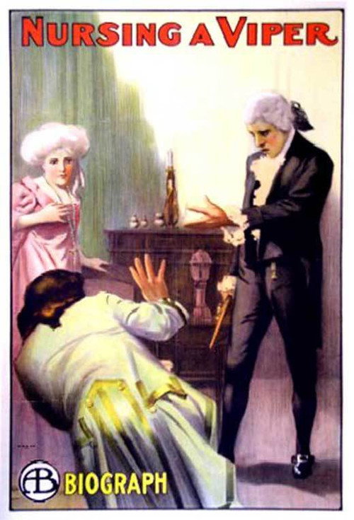 Póster de Nursing a Viper