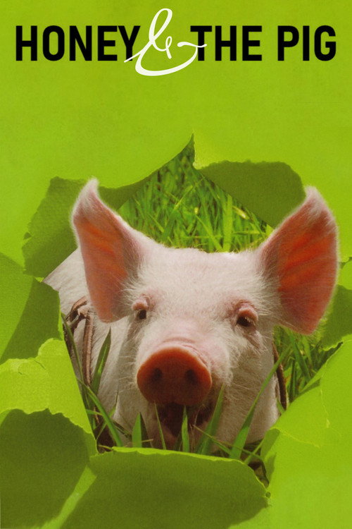 Póster de Honey and the Pig