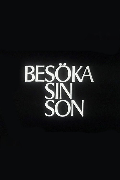 Poster von Visiting One's Son