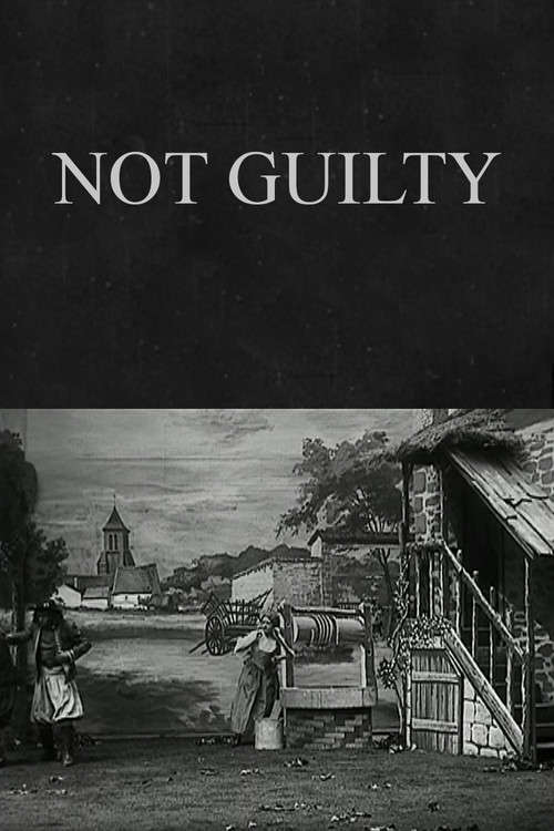 Póster de Not Guilty