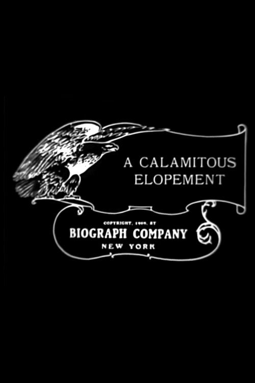 Póster de A Calamitous Elopement