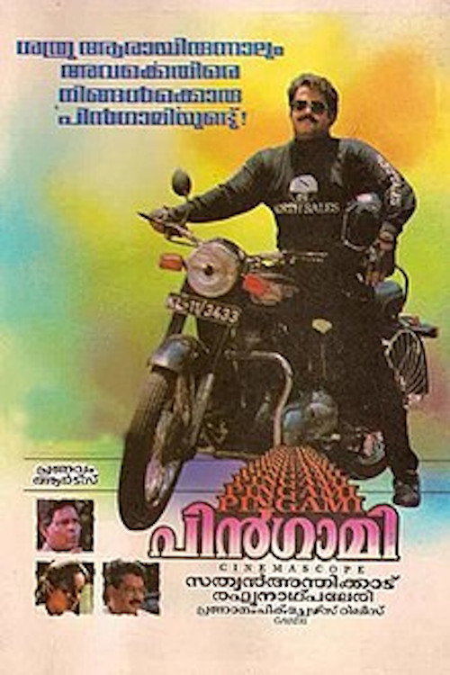 Affiche de Pingami